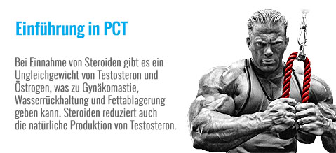 Einfuhrung_in_PCT.jpg