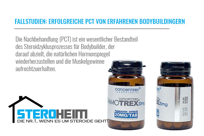 11.FALLSTUDIEN ERFOLGREICHE PCT VON ERFAHRENEN BODYBUILDINGERN
