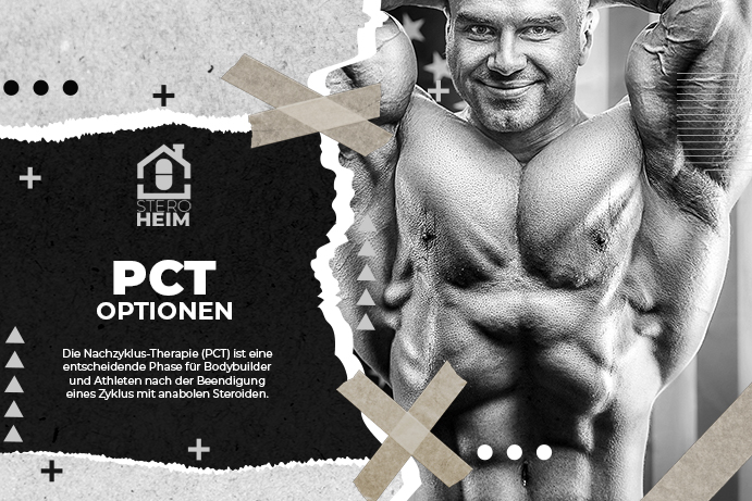 12. HAêUFIGSTE UND WIRKSAMSTE MEDIKAMENTE UND NAHRUNGSERGAêNZUNGSMITTEL DIE IN DER NACHZYCLE THERAPIE PCT FUêR BODYBUILDING VERWENDET WERDEN