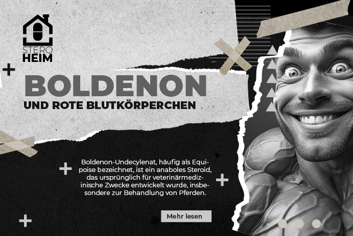 28. WIRKUNGEN VON BOLDENON UNDECYLENAT AUF DIE PRODUKTION VON ROTEN BLUTKOêRPERCHEN