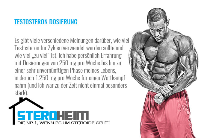 3.Testosteron Dosierung