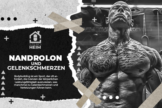 30. NANDROLON DECANOAT UND GELENKSCHMERZEN DIE WAHRHEIT UND RELEVANTE STUDIEN