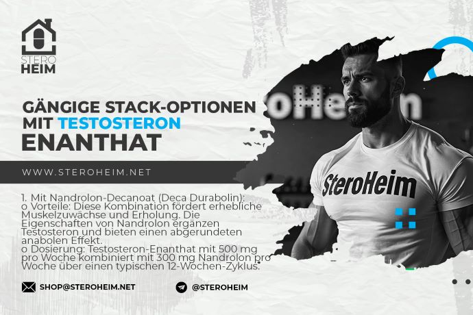 4. GAêNGIGE STACK OPTIONEN MIT TESTOSTERON ENANTHAT